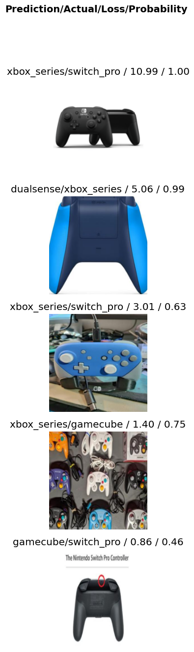 Top 5 highest-loss predictions